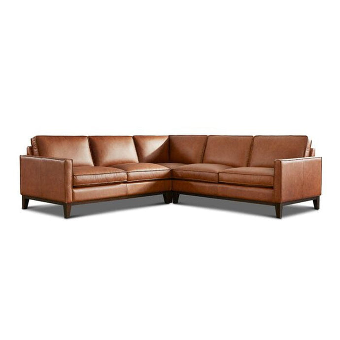 Danyale Leather Sectional with Wood Base