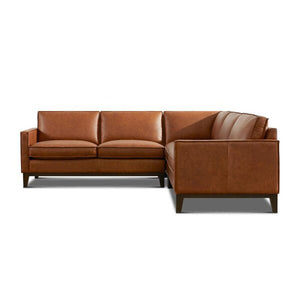 Danyale Leather Sectional with Wood Base